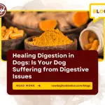 Healing Digestion in Dogs Is Your Dog Suffering from Digestive Issues