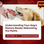 Understanding Your Dog's Dietary Needs- Debunking the Myths