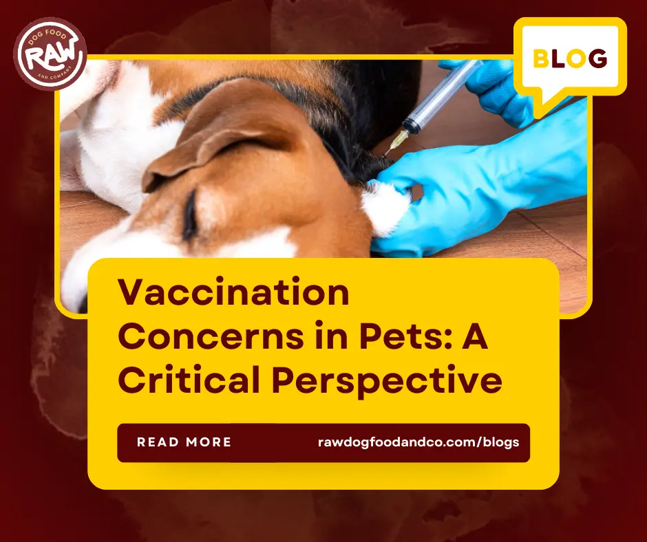 Vaccination Concerns in Pets- A Critical Perspective