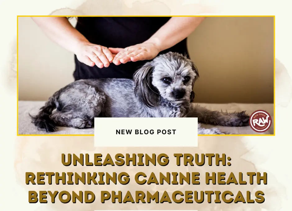 Unleashing Truth- Rethinking Canine Health Beyond Pharmaceuticals