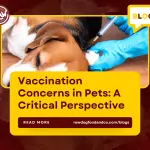 Vaccination Concerns in Pets- A Critical Perspective