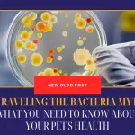 Unraveling the Bacteria Myth- What You Need to Know About Your Pet's Health