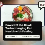 Paws Off the Bowl- Turbocharging Pet Health with Fasting!