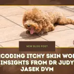 Decoding Itchy Skin Woes- Insights from Dr Judy Jasek DVM