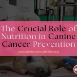 The Crucial Role of Nutrition in Canine Cancer Prevention