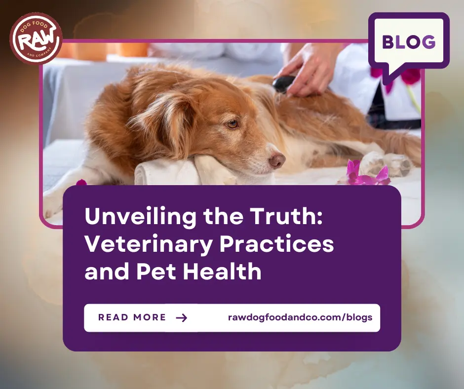 Unveiling the Truth- Veterinary Practices and Pet Health