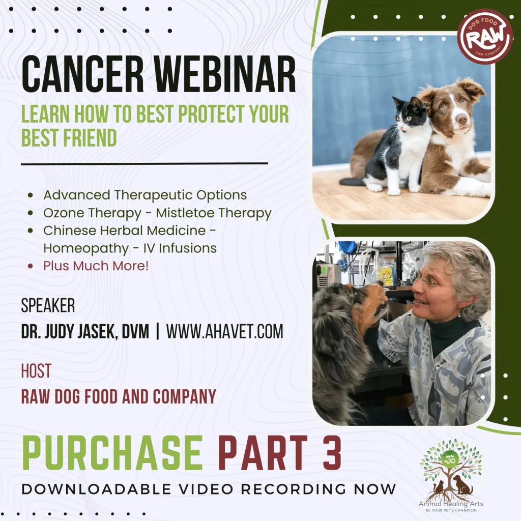 Purchase Part 3 cancer webinar