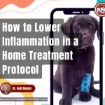 How to Lower Inflammation in a Home Treatment Protocol