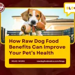 How Raw Dog Food Benefits Can Improve Your Pet’s Health