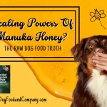 6 Secrets about Manuka Honey