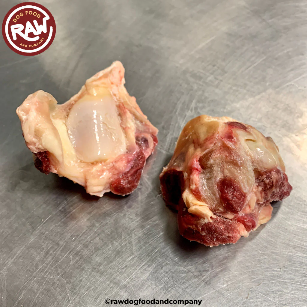 Bison Patella (Kneecap) Bones (3 lb)