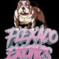Slowgrind Stackitup Avatar