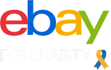 ebay for charity