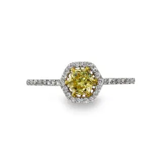 RD497 - Halo Cluster Rings