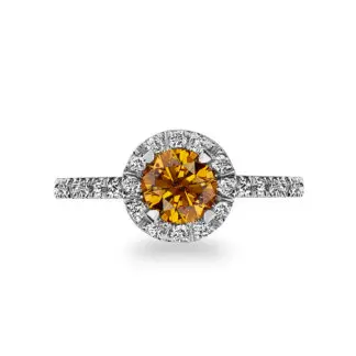 RD1576 - Halo Cluster Rings