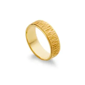 D6161-Gents band