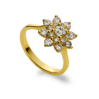 RD1558  - Halo Cluster Rings