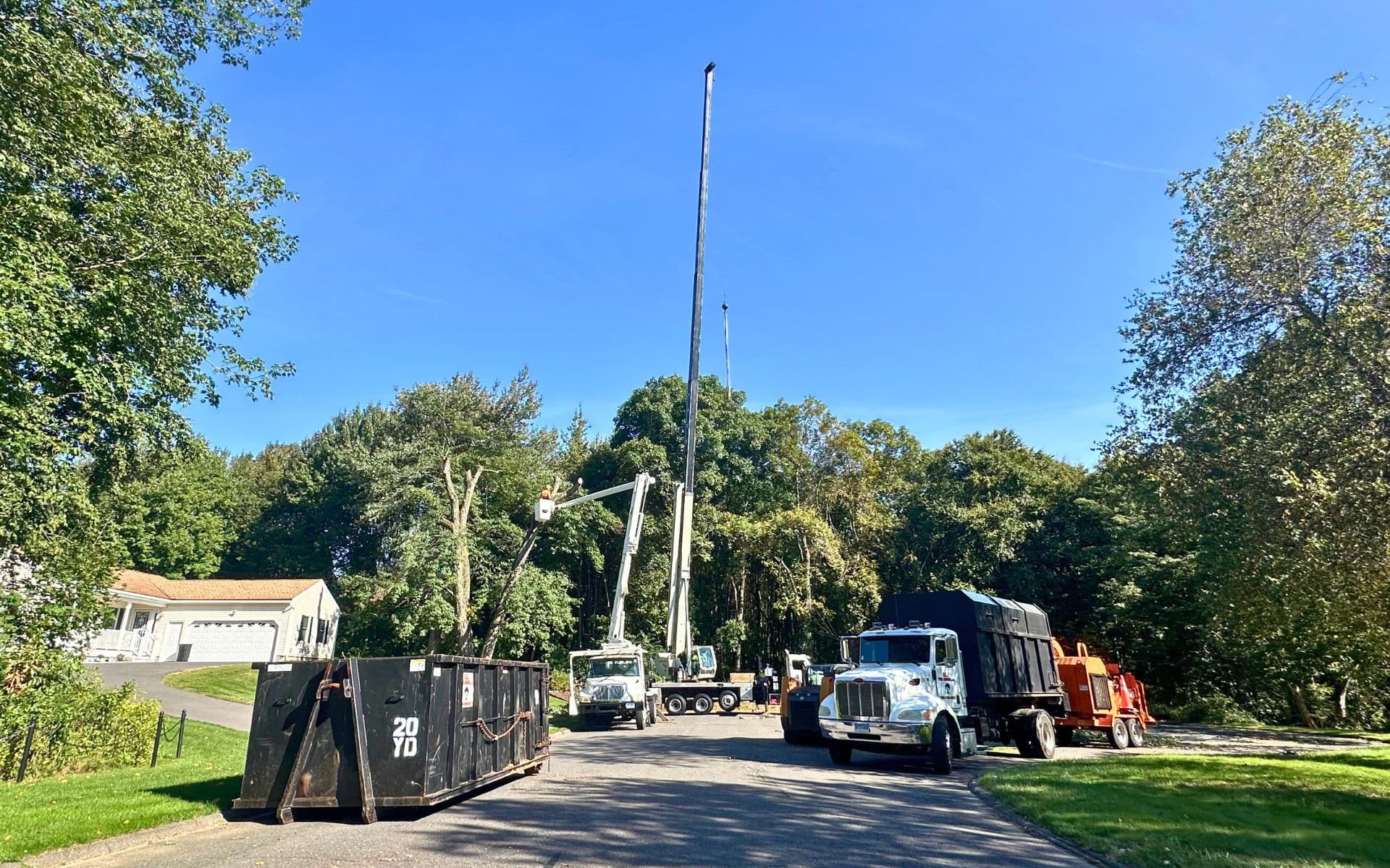 tree service in cheshire ct