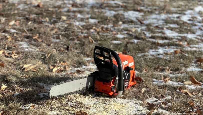 tree service meriden ct