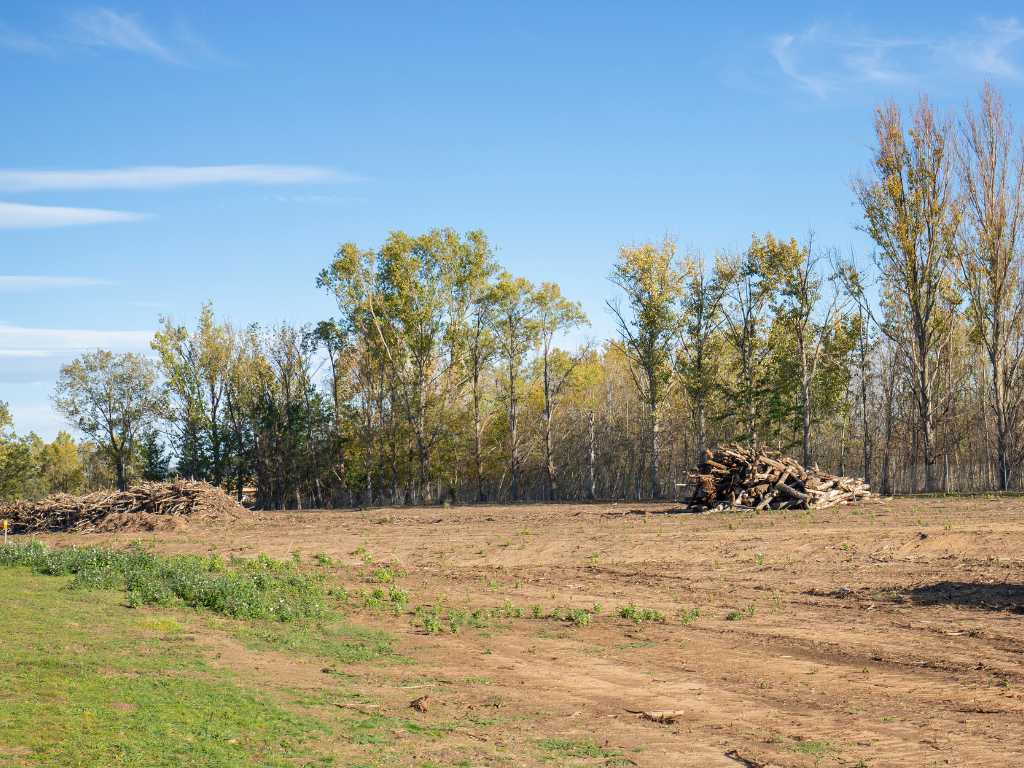 land clearing Bristol CT
