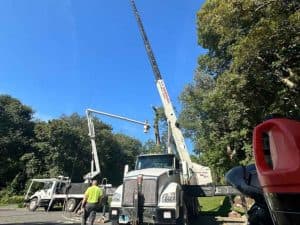 tree service New Hartford CT