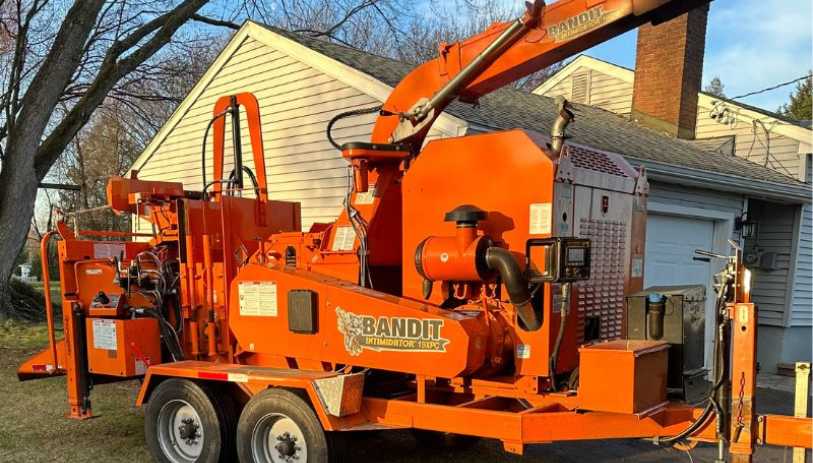 tree service avon