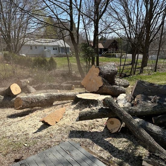 stump grinding cheshire