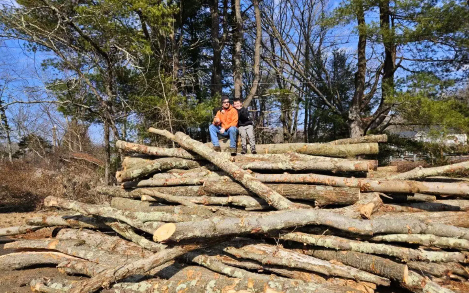 land clearing services Meriden CT