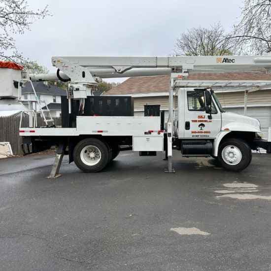 avon tree removal company