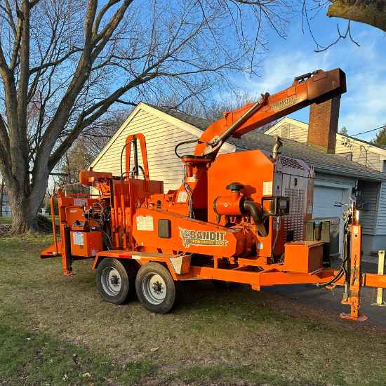 meriden tree service
