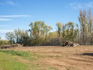 land clearing Bristol CT