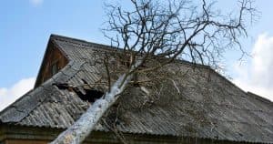 Bristol CT emergency storm damage service