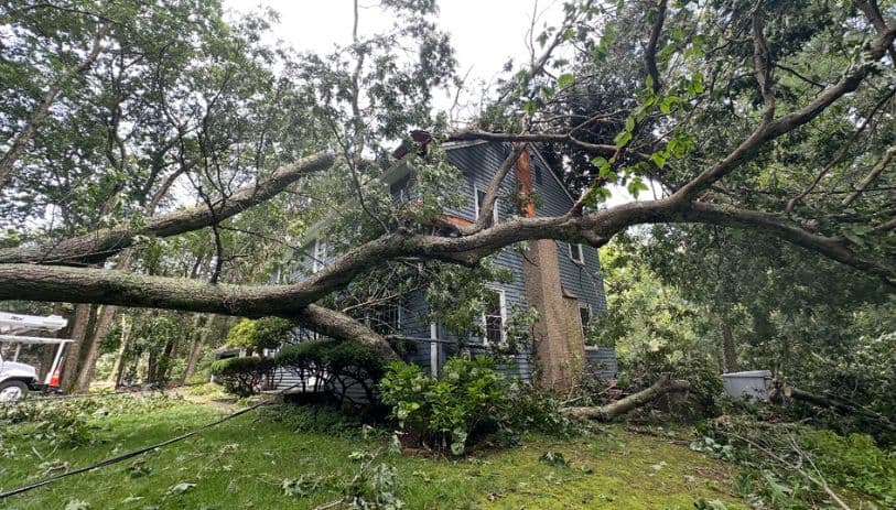 Avon CT emergency tree services crew removing storm-damaged tree near home with chainsaw and safety gear