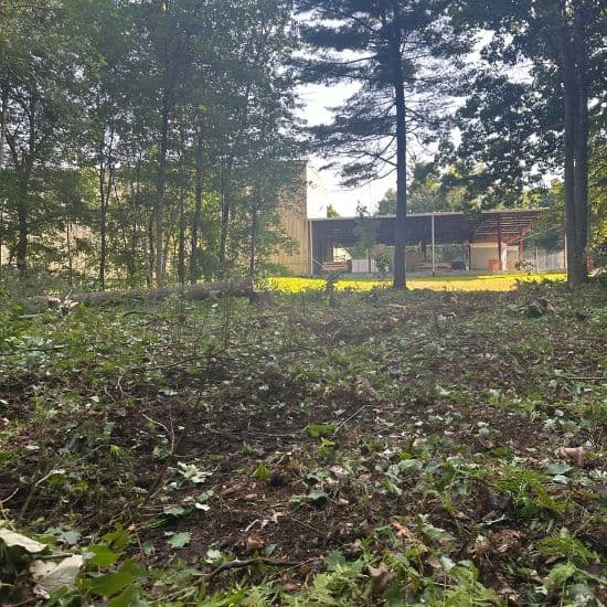 brush hogging company cheshire
