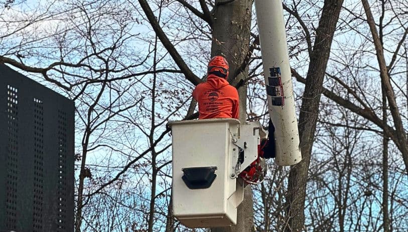 Prospect CT tree removal bucket truck service with arborist trimming large tree near power lines