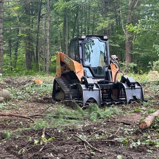 brush clearing company cheshire