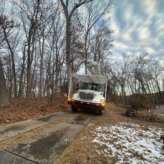 stump grinding avon ct