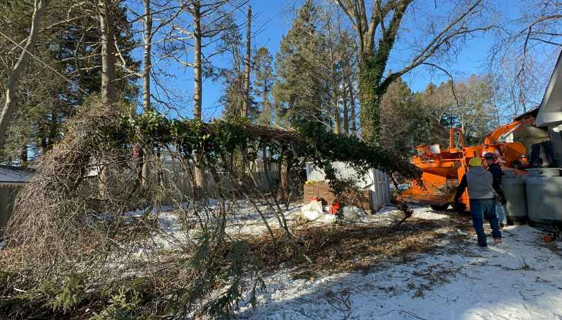 lot clearing near me