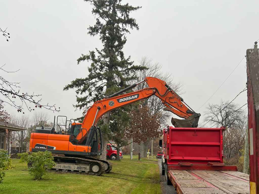 emergency tree removal CT
