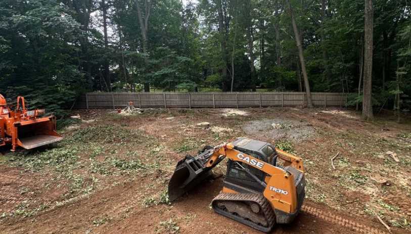 tree services avon ct