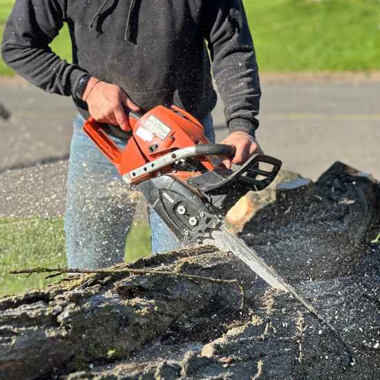 tree and stump removal