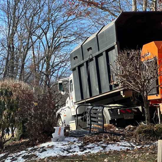 tree trimming avon ct