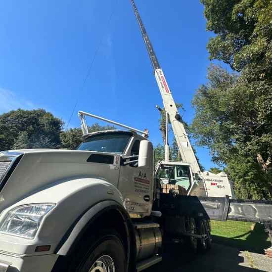crane tree removal