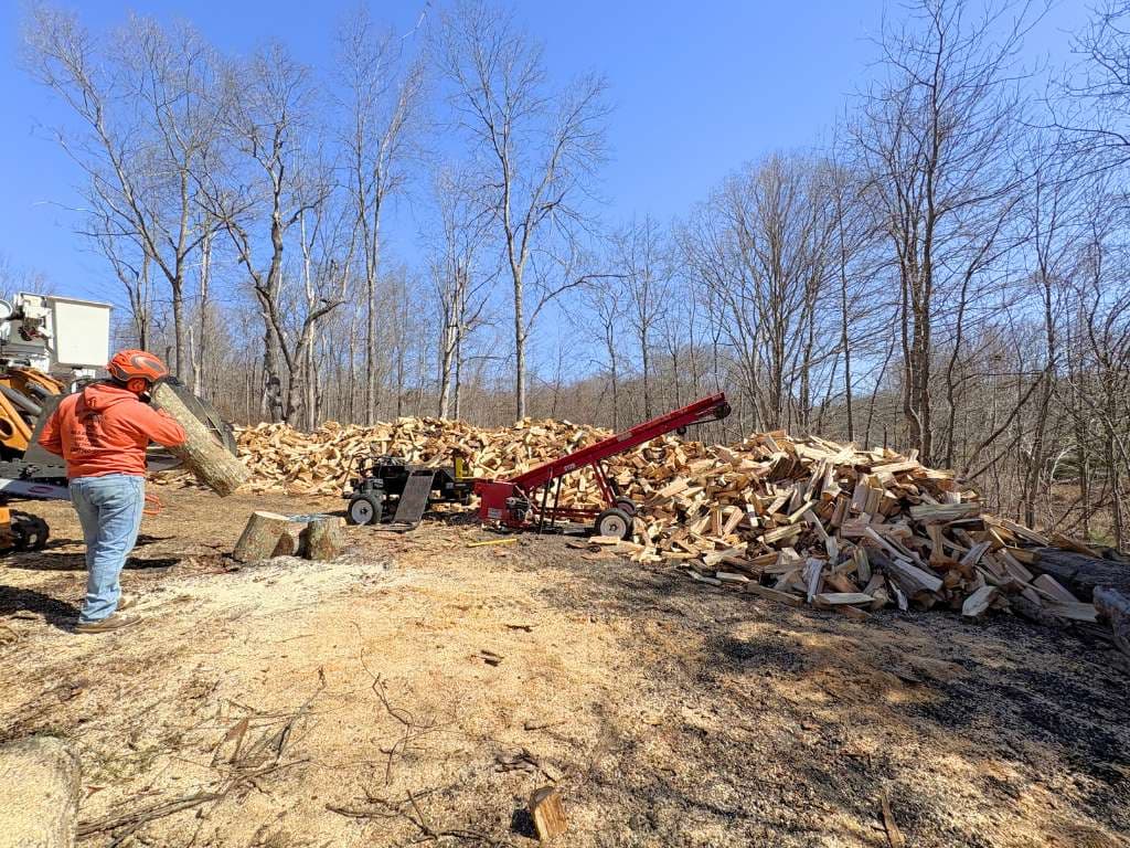 tree removal Meriden