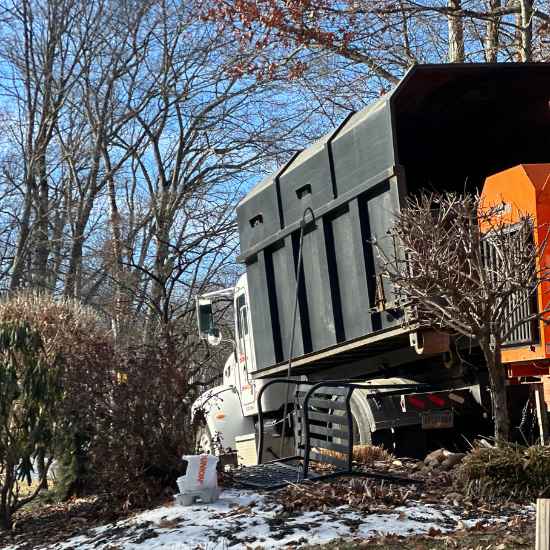 Avon tree company