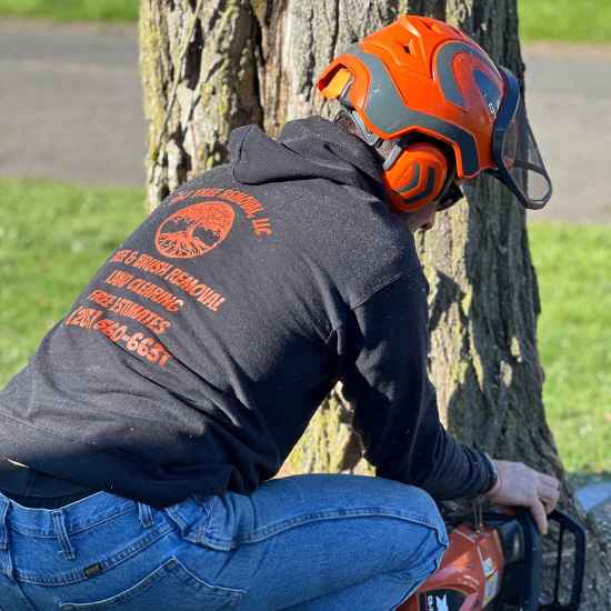 tree removal meriden ct 2