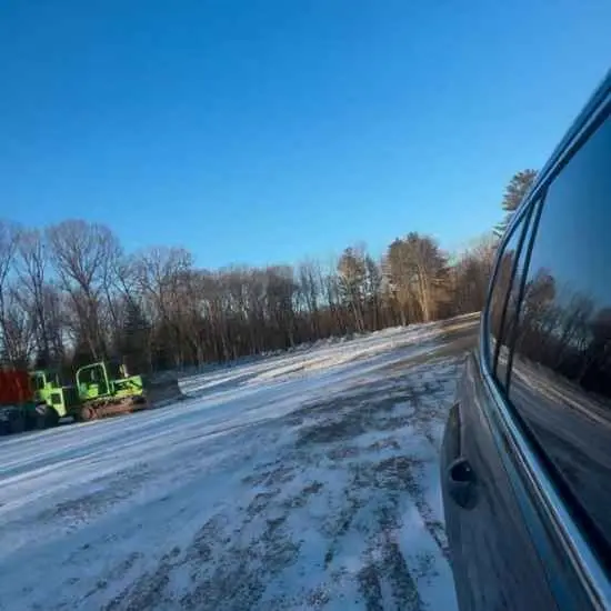 tree service Bristol