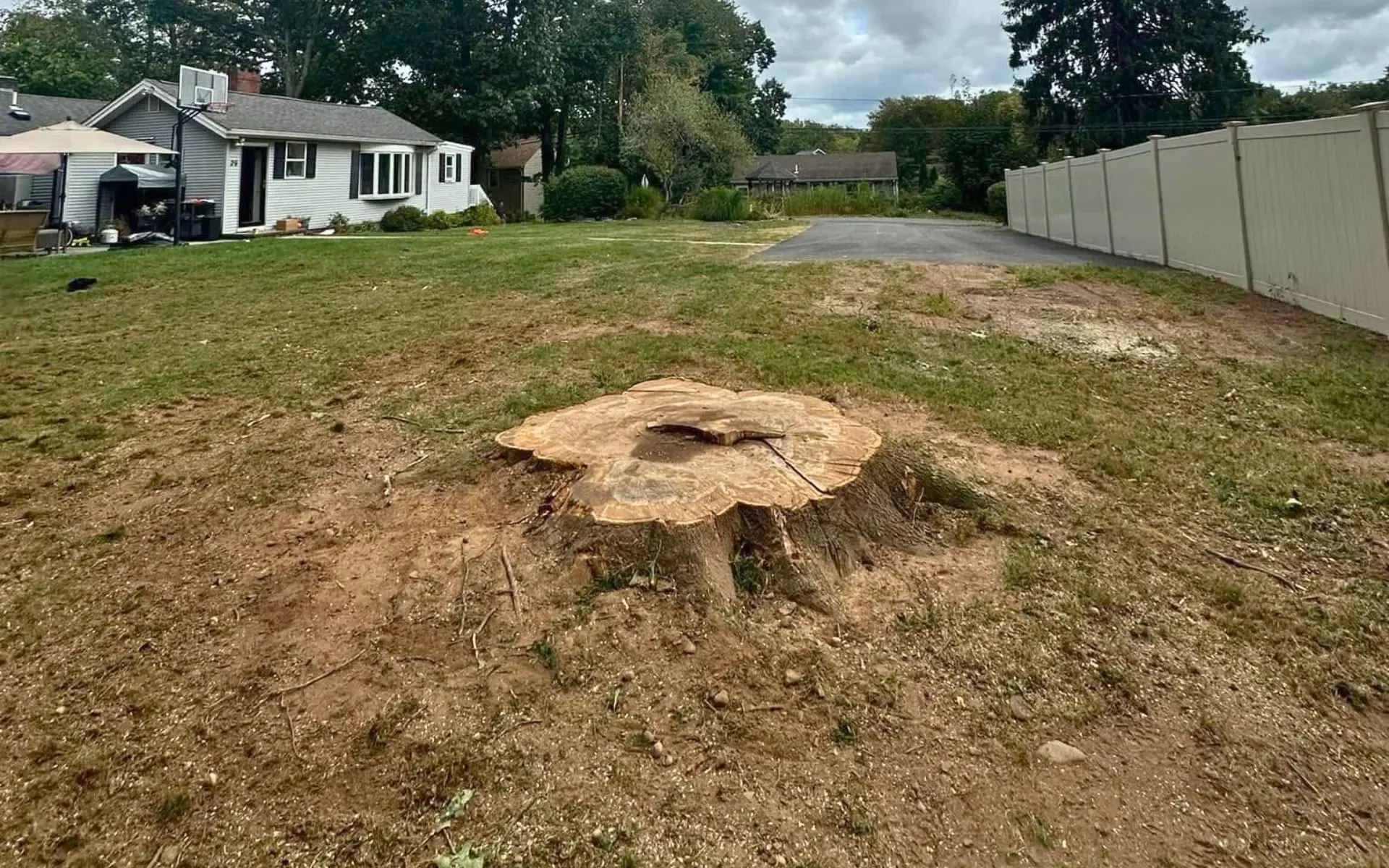 tree stump removal Prospect CT