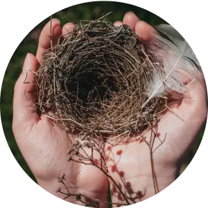 Empty Nest Syndrome Therapy Main Line Pennsylvania
