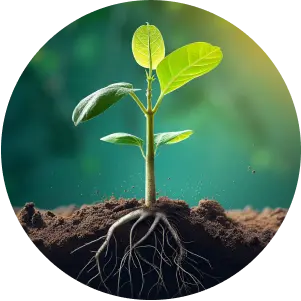 Personal Growth Therapy Virtual or In Person sessions Main Line